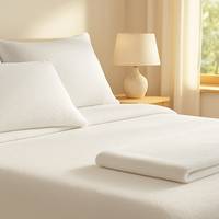 Alèse Oreiller Coton SAN 60x60 